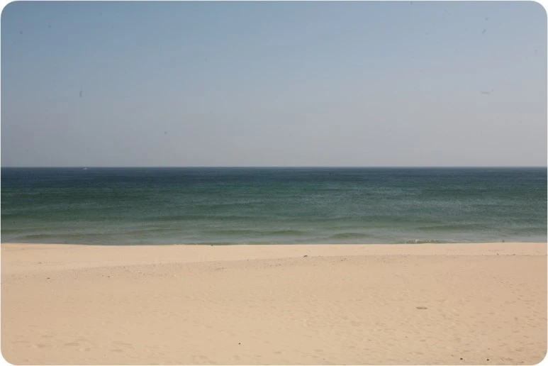 IMG_7059.JPG?type=w773