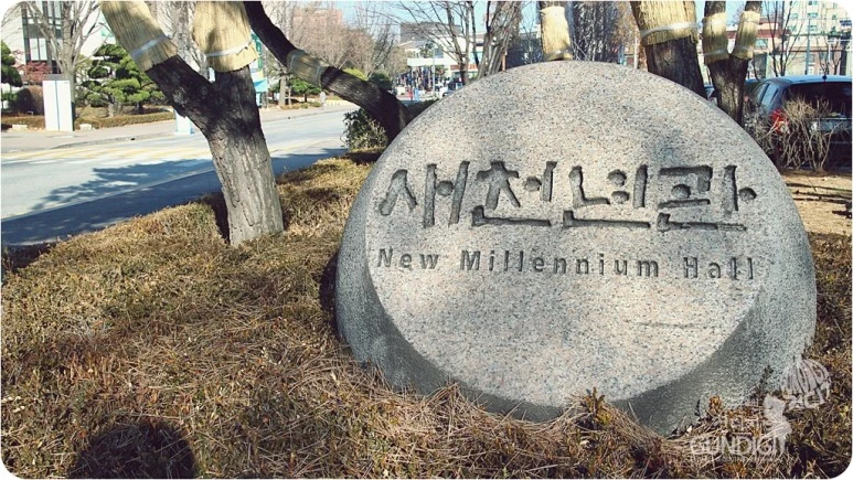 IMG_1339.JPG?type=w773