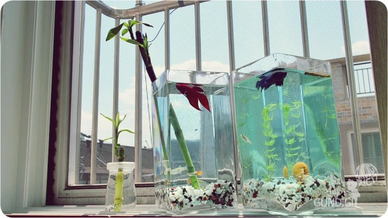 IMG_3815.JPG?type=w773