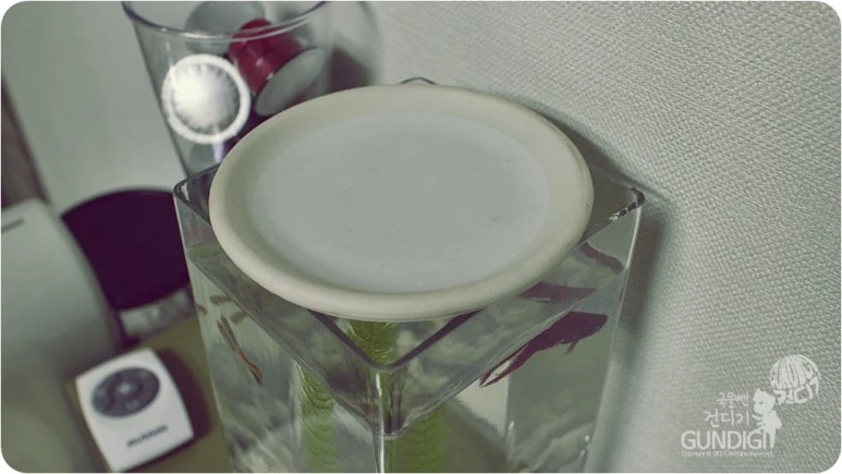 IMG_3293.JPG?type=w773