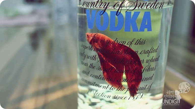 IMG_4311.JPG?type=w773