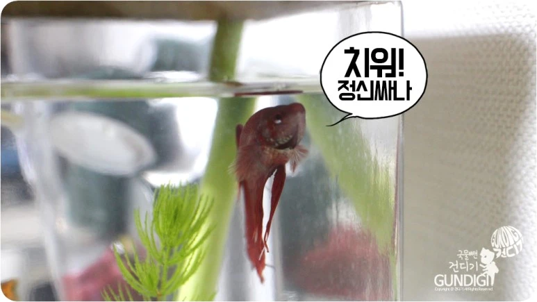 IMG_3575.JPG?type=w773