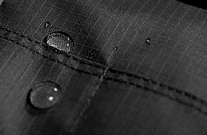 IMG_8931.jpg?type=w773