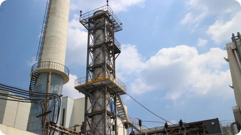 IMG_5551.JPG?type=w773