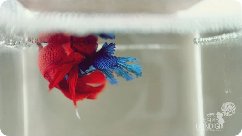 IMG_3934.JPG?type=w773