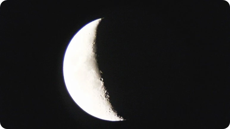 IMG_4449.JPG?type=w773