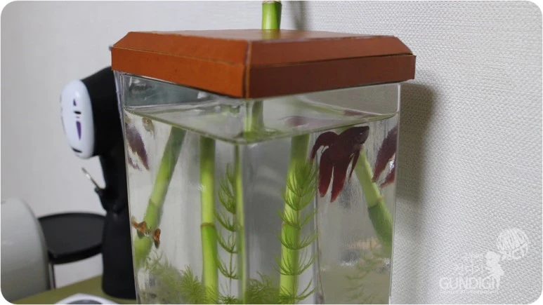 IMG_3574.JPG?type=w773