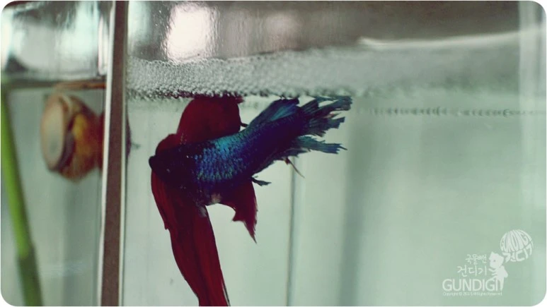 IMG_3933.JPG?type=w773