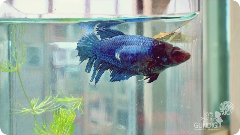 IMG_3819.JPG?type=w773