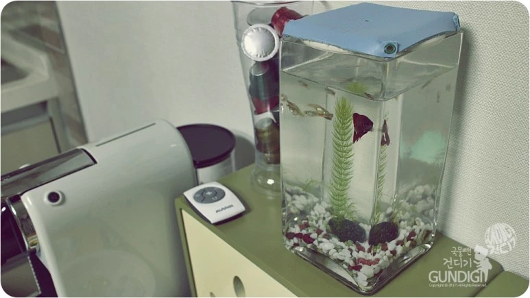 IMG_3297.JPG?type=w773