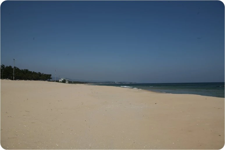 IMG_7153.JPG?type=w773