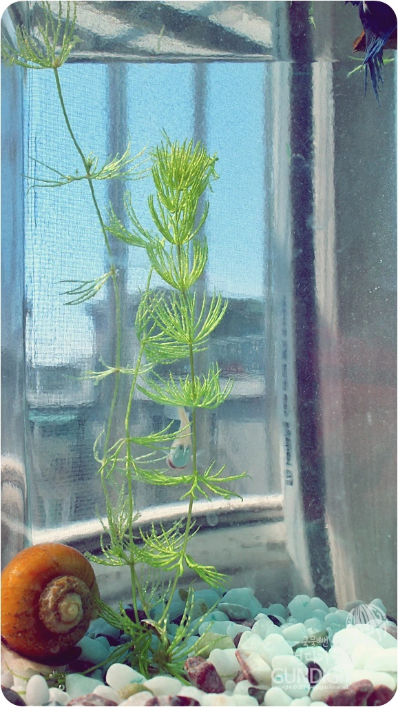 IMG_3823.JPG?type=w773