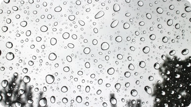 IMG_4522.JPG?type=w773