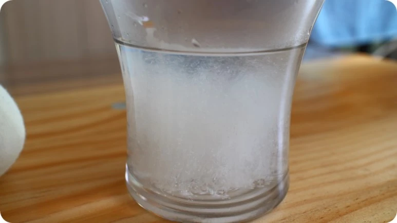 IMG_5861.JPG?type=w773