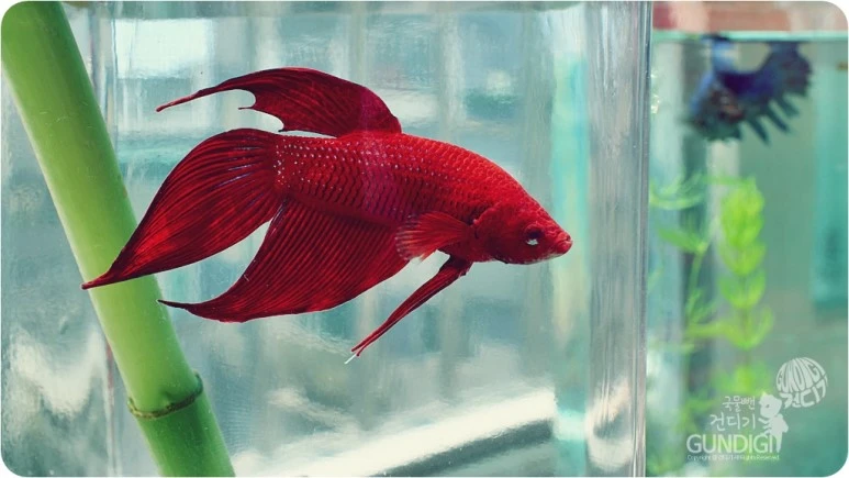 IMG_3818.JPG?type=w773