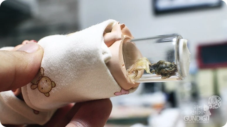 IMG_4976.JPG?type=w773