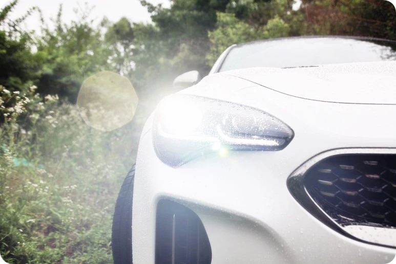 IMG_7679.JPG?type=w773