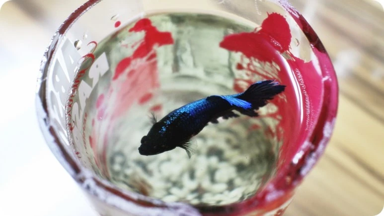 IMG_4757.JPG?type=w773