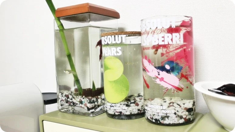 IMG_4760.JPG?type=w773