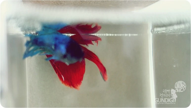 IMG_3929.JPG?type=w773