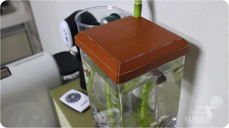 IMG_3572.JPG?type=w773