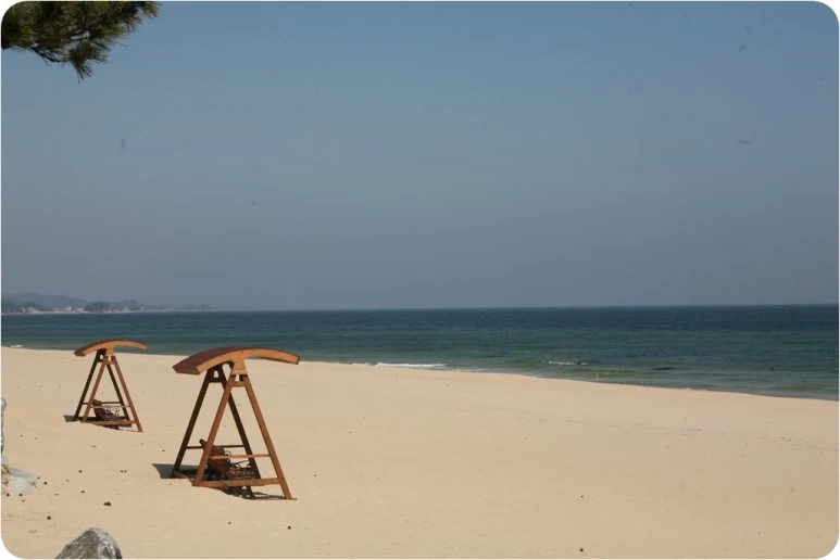 IMG_7051.JPG?type=w773