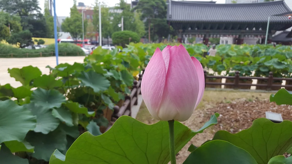 20170910_171107.jpg?type=w1200