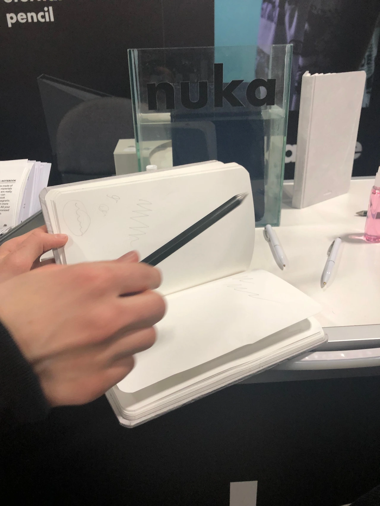 CES 2019 Eureka park (141).JPG