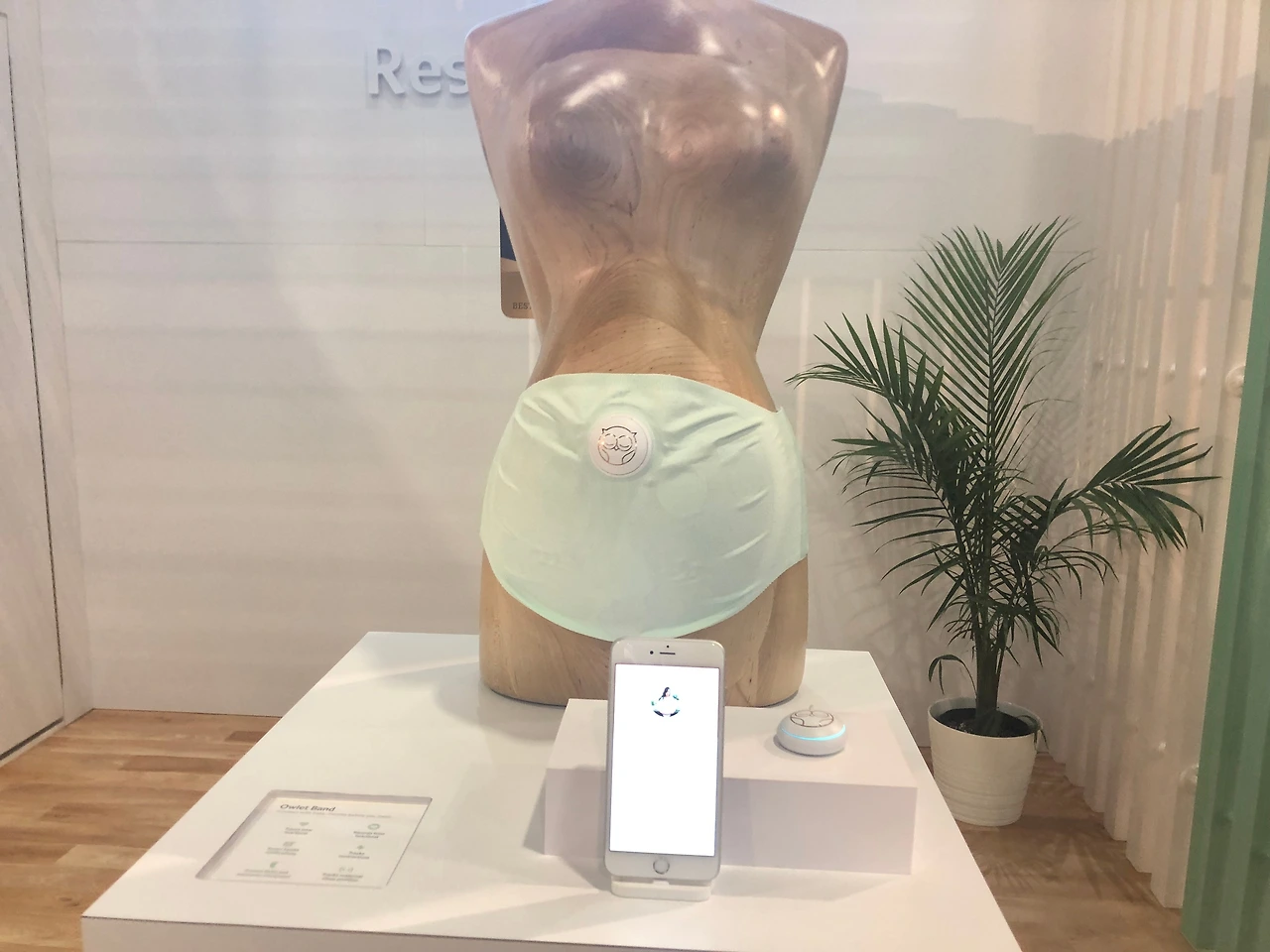 CES 2019 Sands (92).JPG