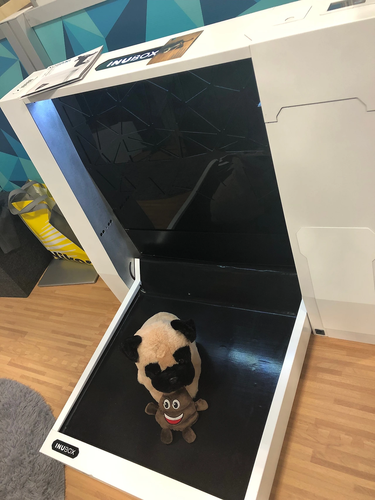 CES 2019 Eureka park (152).JPG