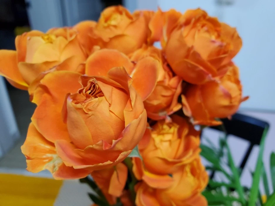 KakaoTalk_20210123_000159461_06.jpg?type=w1