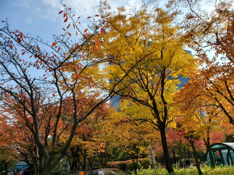 20211103%EF%BC%BF124745.jpg?type=w1