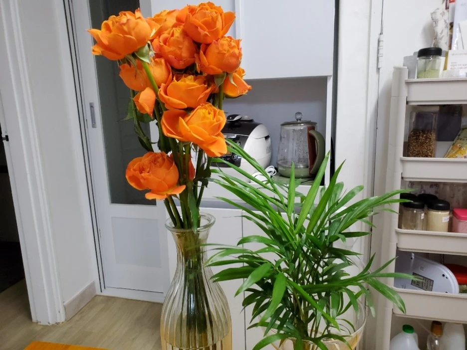 KakaoTalk_20210123_000159461_10.jpg?type=w1