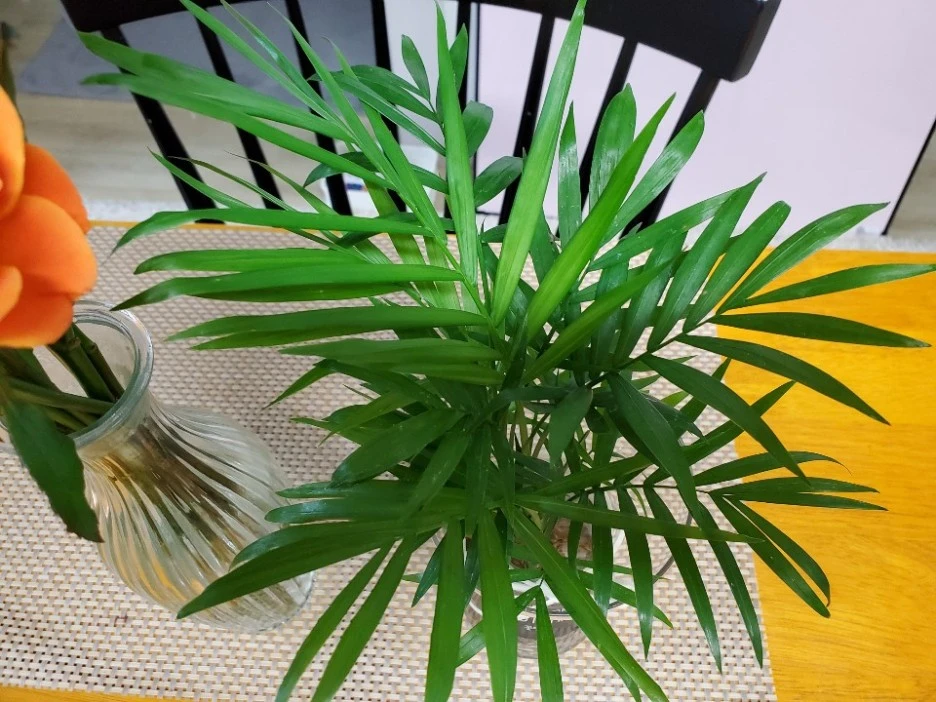 KakaoTalk_20210123_000159461_08.jpg?type=w1