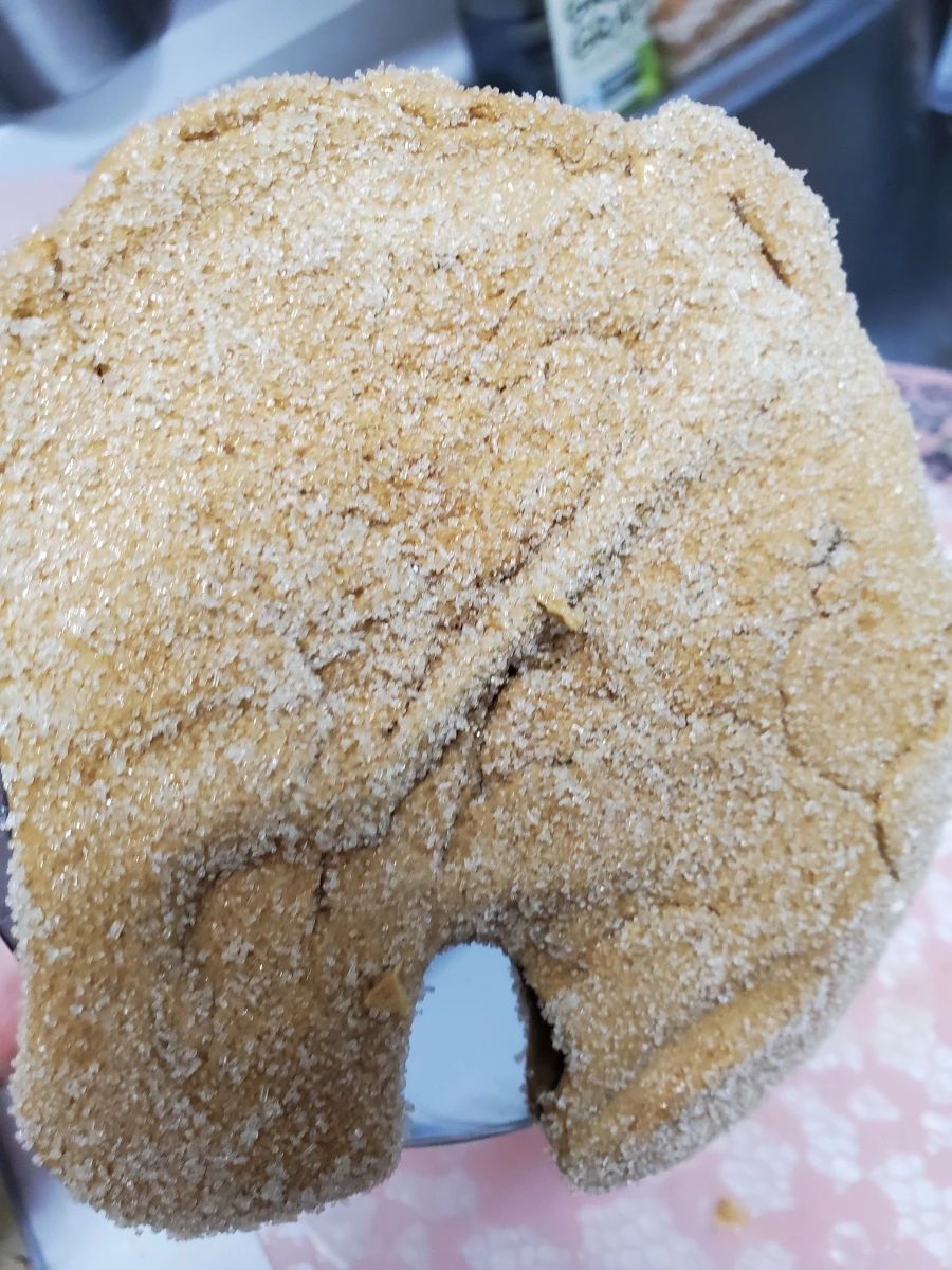 20211021%EF%BC%BF203543.jpg?type=w1