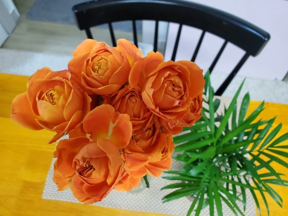 KakaoTalk_20210123_000159461_07.jpg?type=w1