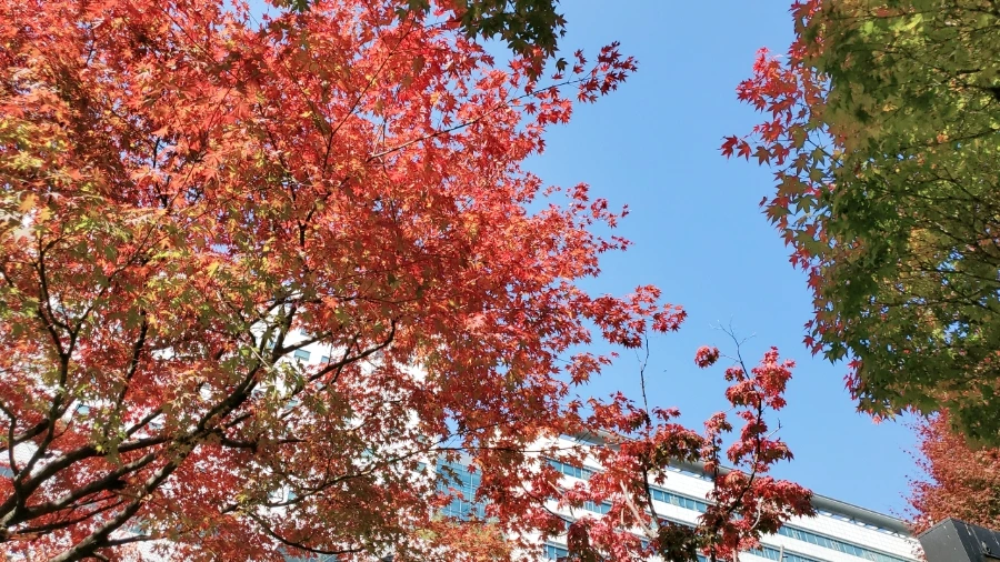 B612%EF%BC%BF20211103%EF%BC%BF125412%EF%BC%BF040.jpg?type=w1