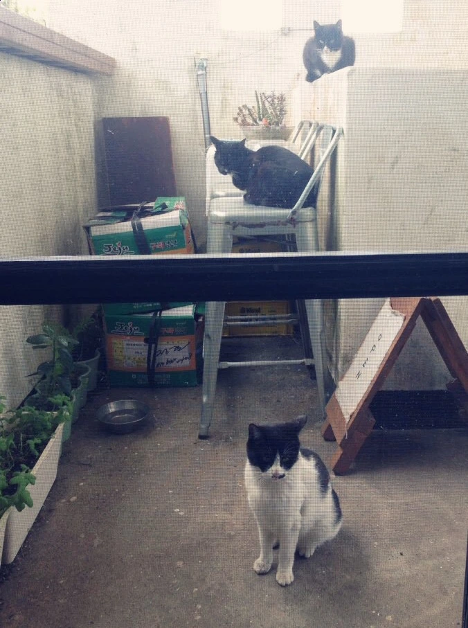 se3_image_2010923617.jpg?type=w773