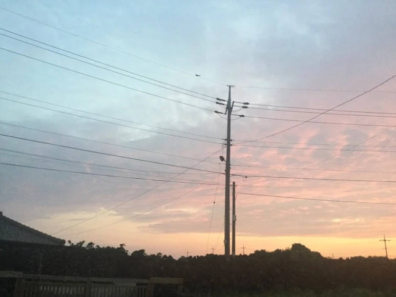 IMG_2344.jpg?type=w773