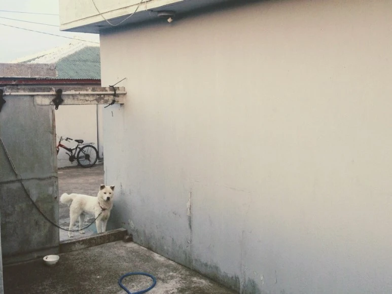 844F3BE9-52D0-4FDA-A5A7-ABEA504DFF8D.jpg?type=w773