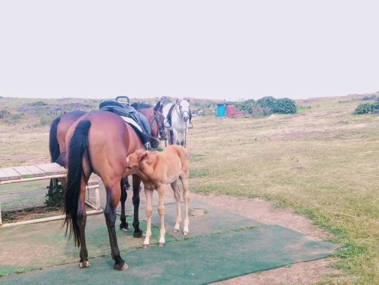 1C3EF88E-1D71-4100-94DF-221BC13EF8C8.jpg?type=w773