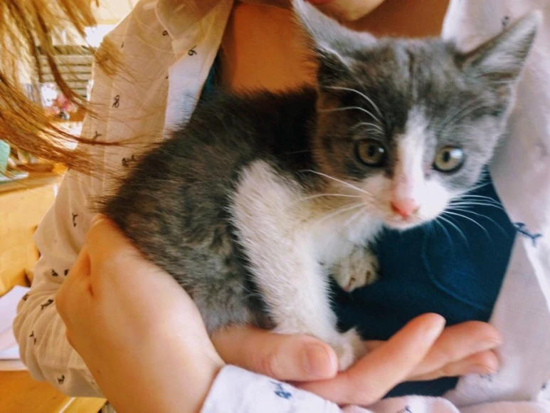 FA016B6F-B30F-4E2F-89A1-79E64CE78141.jpg?type=w773