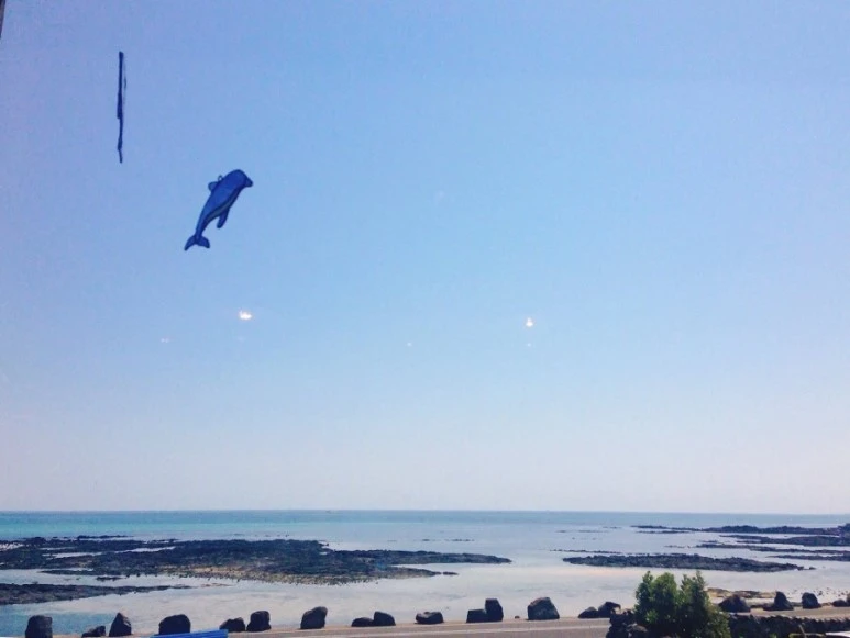 IMG_2241.jpg?type=w773