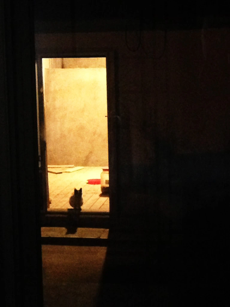 xpW64nf4.jpg?type=w773