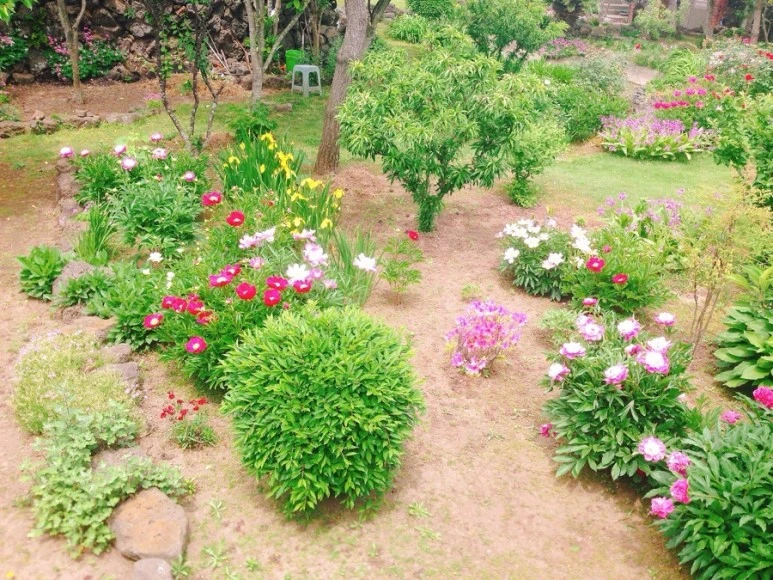 IMG_8984.jpg?type=w773