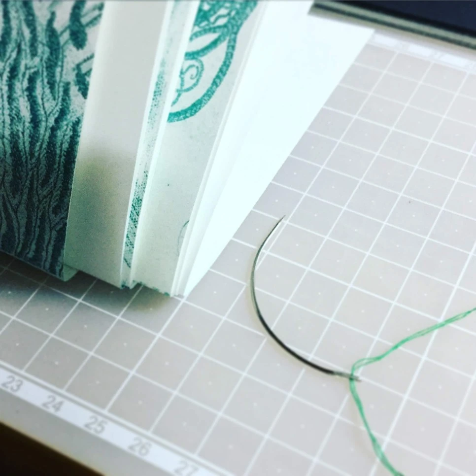 IMG_0779.jpg?type=w966