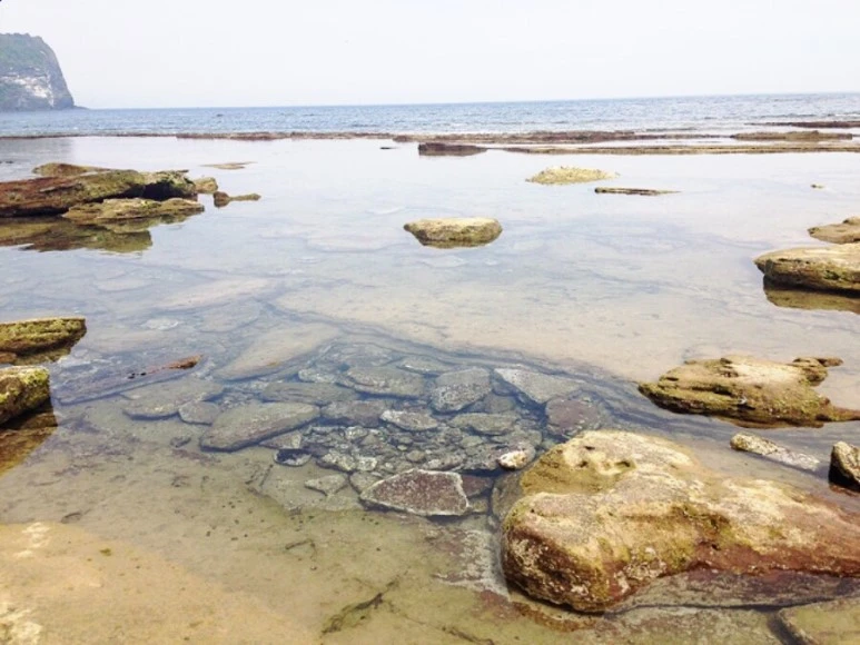 se3_image_1161224109.jpg?type=w773