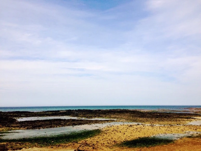 9A3048BE-04F1-45A8-A95C-A1DD75838EEB.jpg?type=w773