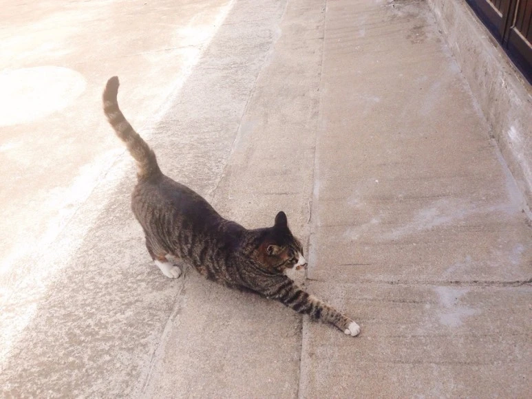 IMG_9213.jpg?type=w773