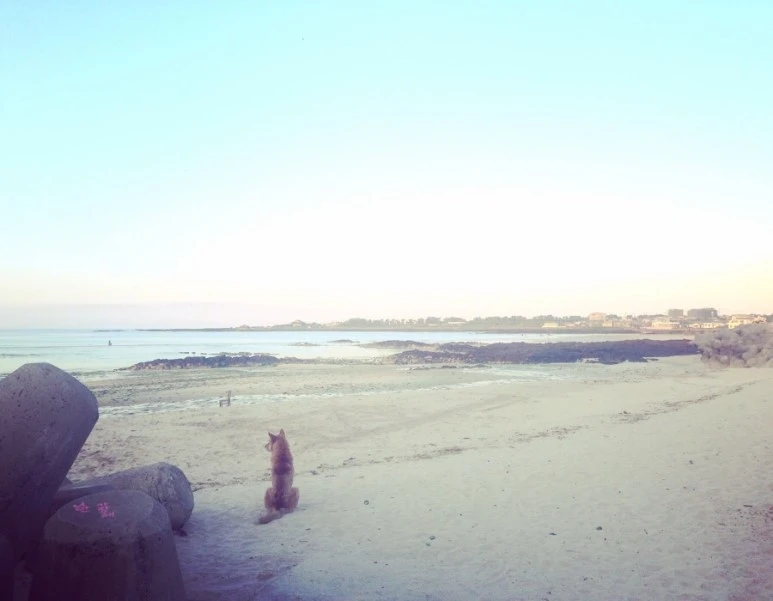 4DC6CCA0-21F4-409A-B512-8496DEBA6915.jpg?type=w773